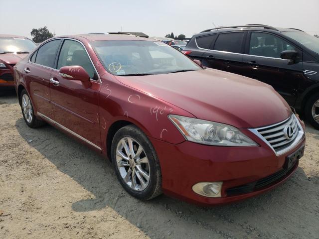 LEXUS ES 350 2010 jthbk1eg3a2365792