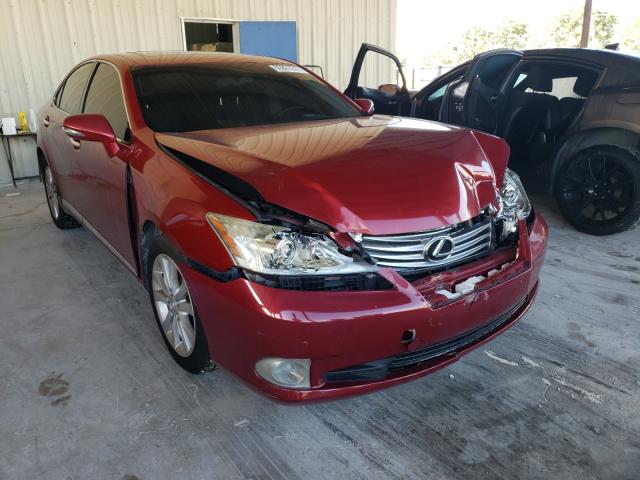 LEXUS ES 350 2010 jthbk1eg3a2366246