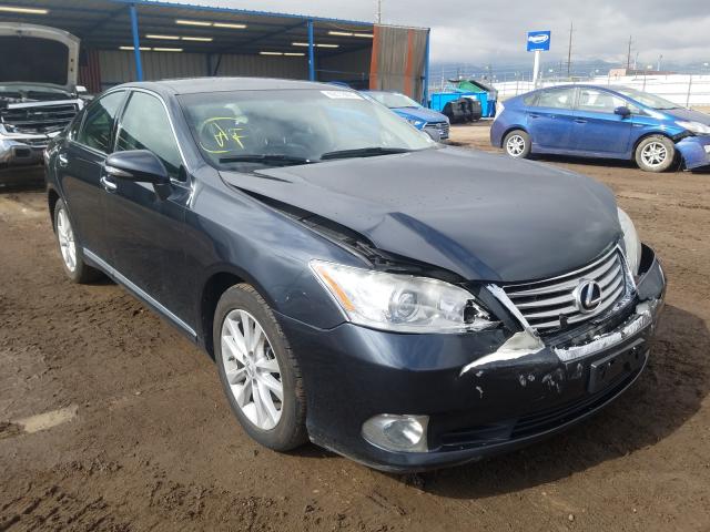 LEXUS ES 350 2010 jthbk1eg3a2368921