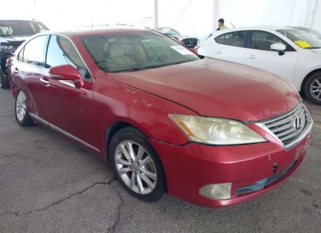 LEXUS ES 350 2010 jthbk1eg3a2368949