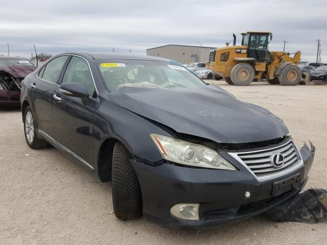 LEXUS ES 350 2010 jthbk1eg3a2369020