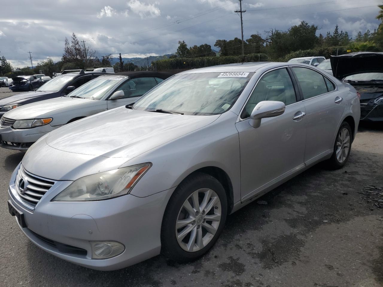 LEXUS ES 2010 jthbk1eg3a2371107