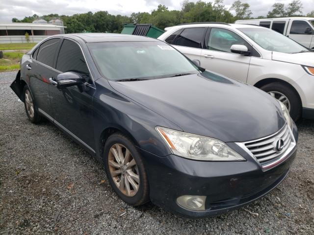 LEXUS ES 350 2010 jthbk1eg3a2371270