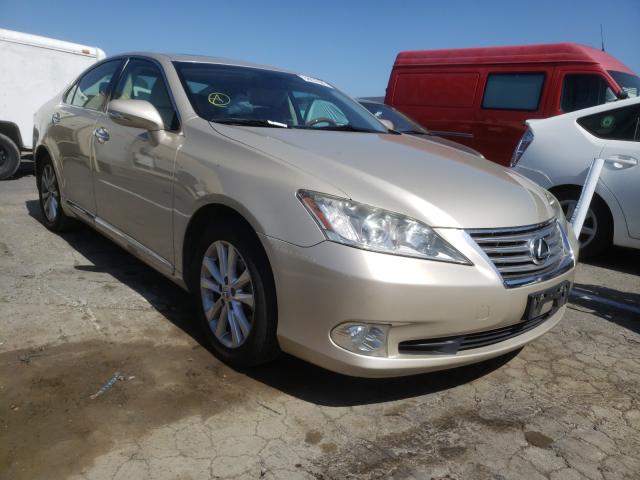 LEXUS ES 350 2010 jthbk1eg3a2371365