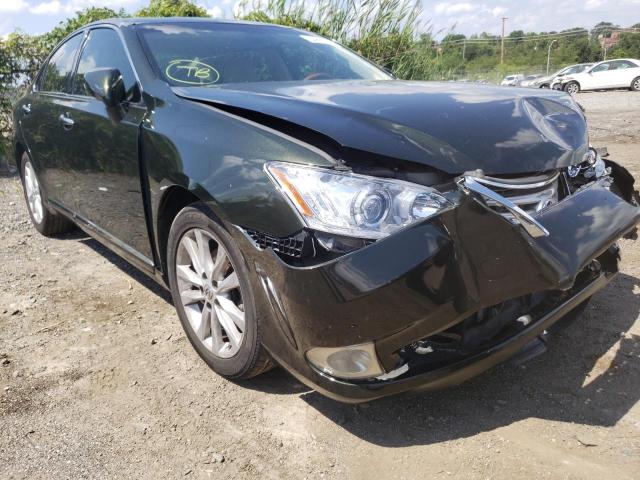 LEXUS ES 350 2010 jthbk1eg3a2371401