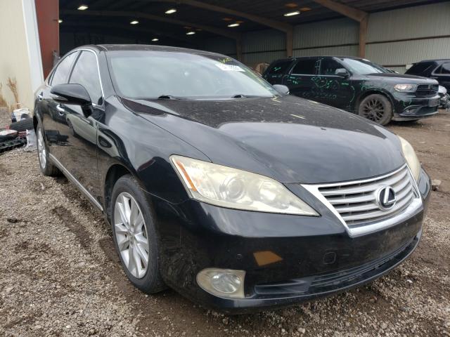 LEXUS ES 350 2010 jthbk1eg3a2371432