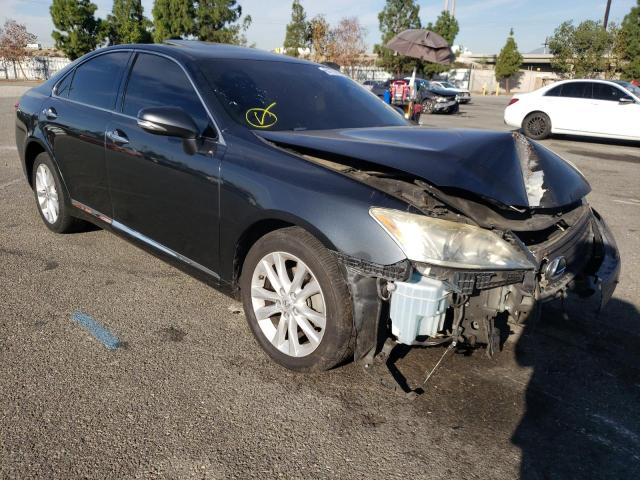 LEXUS ES 350 2010 jthbk1eg3a2371625