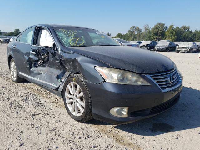 LEXUS ES 350 2010 jthbk1eg3a2375285