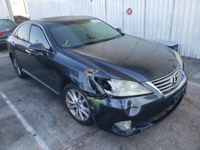 LEXUS ES 350 2010 jthbk1eg3a2375612