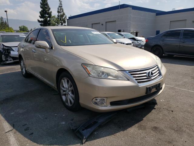 LEXUS ES 350 2010 jthbk1eg3a2379174