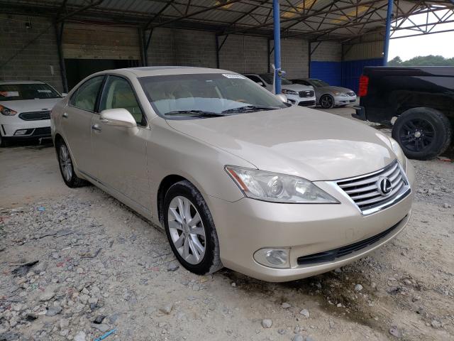 LEXUS ES 350 2010 jthbk1eg3a2380339