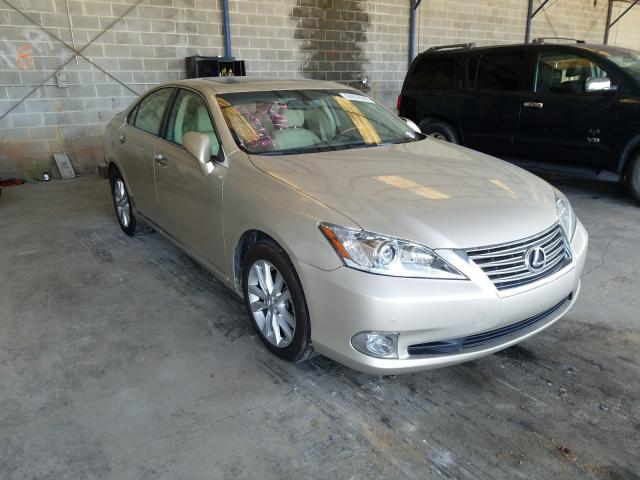 LEXUS ES 350 2010 jthbk1eg3a2381720