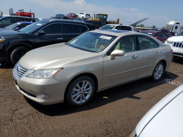 LEXUS ES 350 2010 jthbk1eg3a2385959