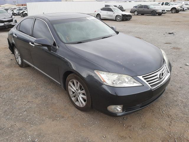 LEXUS ES 350 2010 jthbk1eg3a2386237