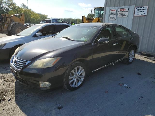 LEXUS NULL 2010 jthbk1eg3a2391826