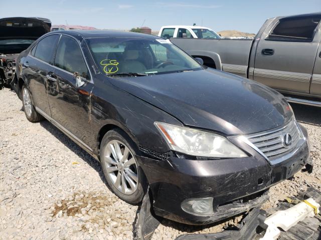 LEXUS ES 350 2010 jthbk1eg3a2395665