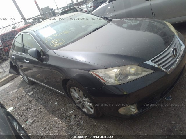 LEXUS ES 350 2010 jthbk1eg3a2396041