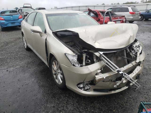 LEXUS ES 350 2010 jthbk1eg3a2400573