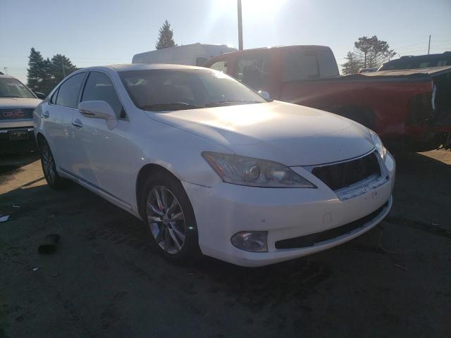 LEXUS ES 350 2010 jthbk1eg3a2401769