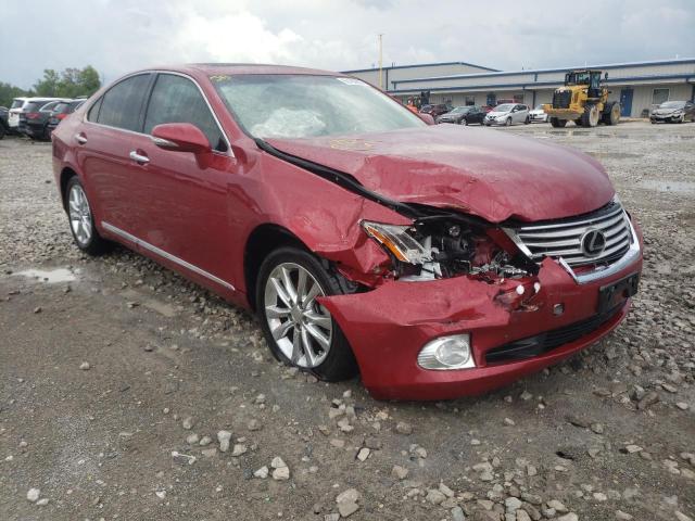 LEXUS ES 350 2010 jthbk1eg3a2403411