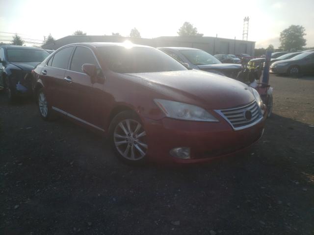 LEXUS ES 350 2010 jthbk1eg3a2404509