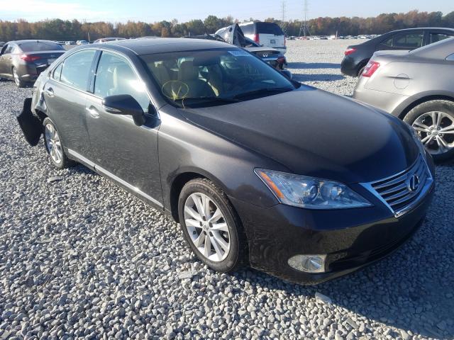 LEXUS ES 350 2010 jthbk1eg3a2405563