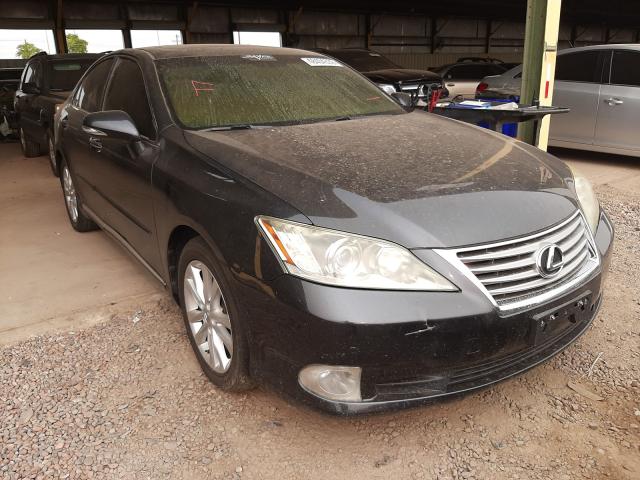 LEXUS ES 350 2010 jthbk1eg3a2408527