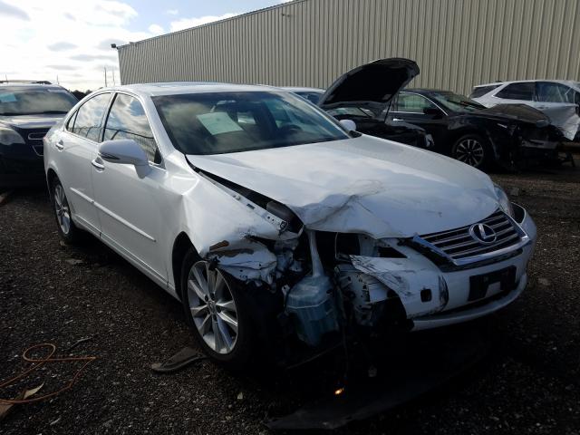 LEXUS ES 350 2010 jthbk1eg3a2411251