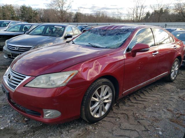 LEXUS ES350 2010 jthbk1eg3a2413226