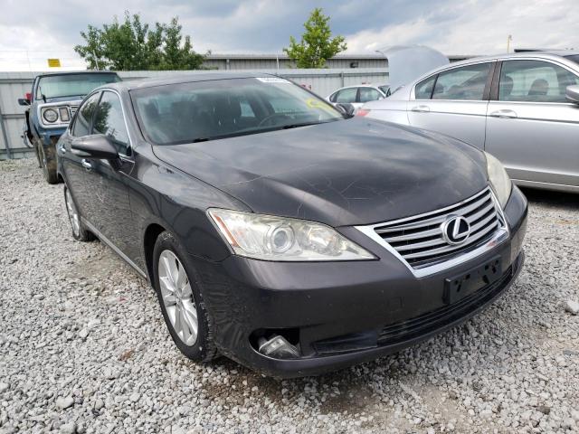 LEXUS ES 350 2011 jthbk1eg3b2423465