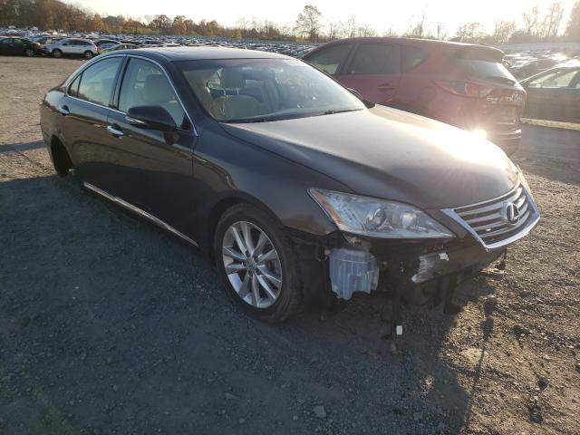 LEXUS ES 350 2011 jthbk1eg3b2466381