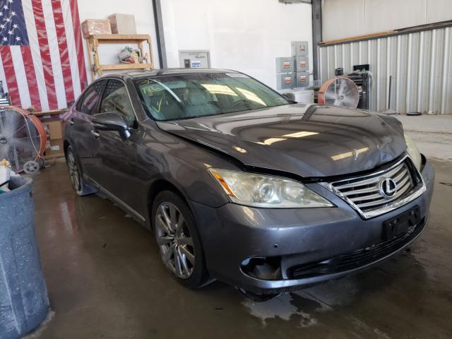 LEXUS ES 350 2012 jthbk1eg3c2495526