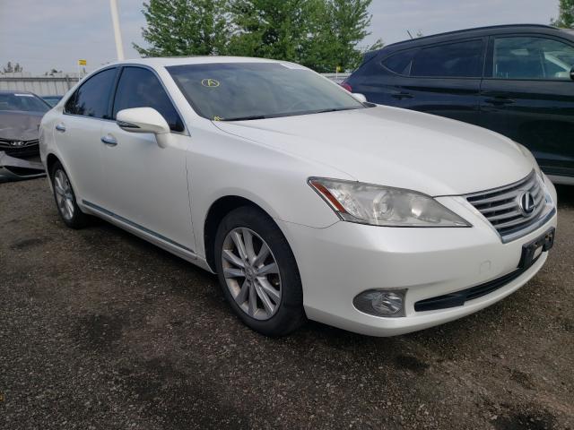 LEXUS ES 350 2012 jthbk1eg3c2501096