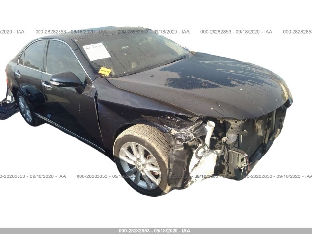 LEXUS ES 350 2010 jthbk1eg4a2345373