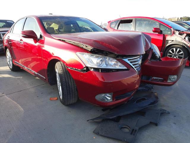 LEXUS ES 350 2010 jthbk1eg4a2346135