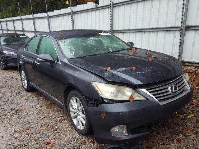 LEXUS ES 350 2010 jthbk1eg4a2346300