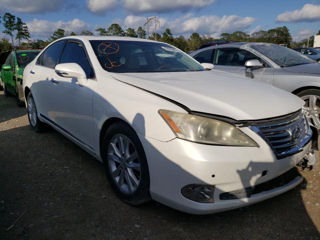 LEXUS ES 350 2010 jthbk1eg4a2347267