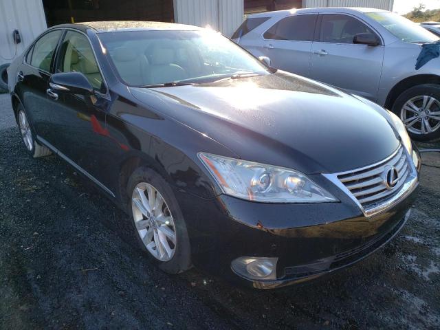 LEXUS ES 350 2010 jthbk1eg4a2347463