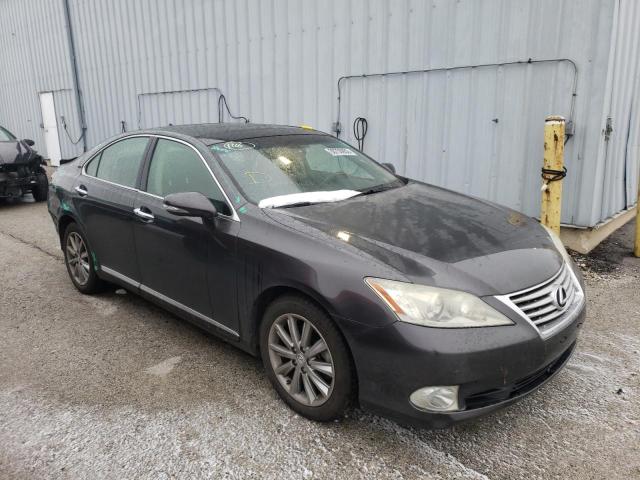 LEXUS ES 350 2010 jthbk1eg4a2355384