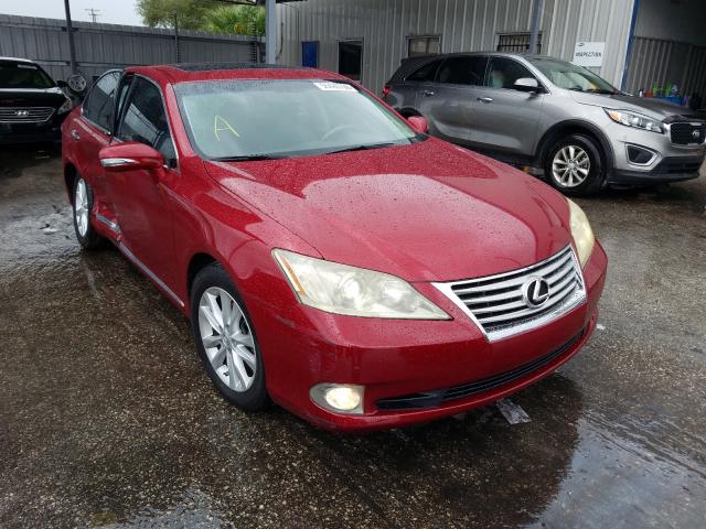 LEXUS ES 350 2010 jthbk1eg4a2356308