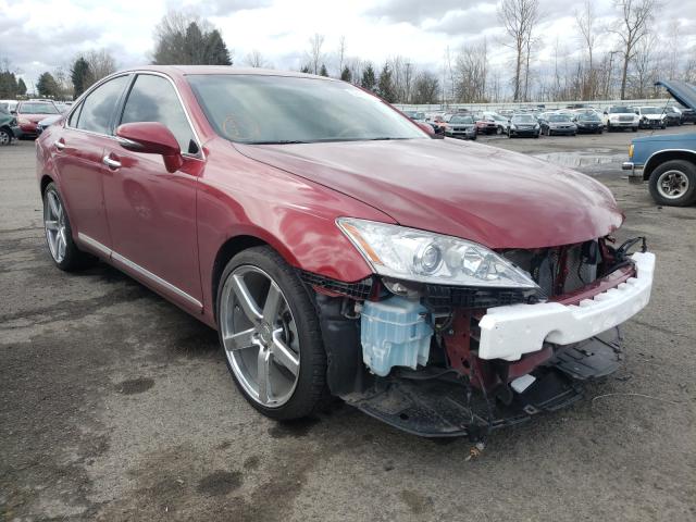 LEXUS ES 350 2010 jthbk1eg4a2359418