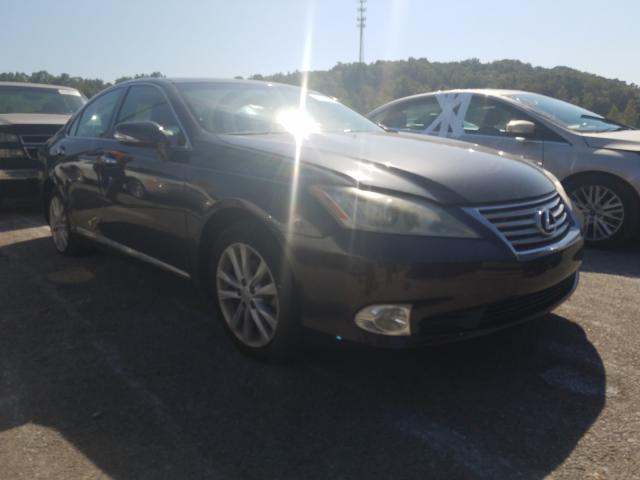 LEXUS ES 350 2010 jthbk1eg4a2361511