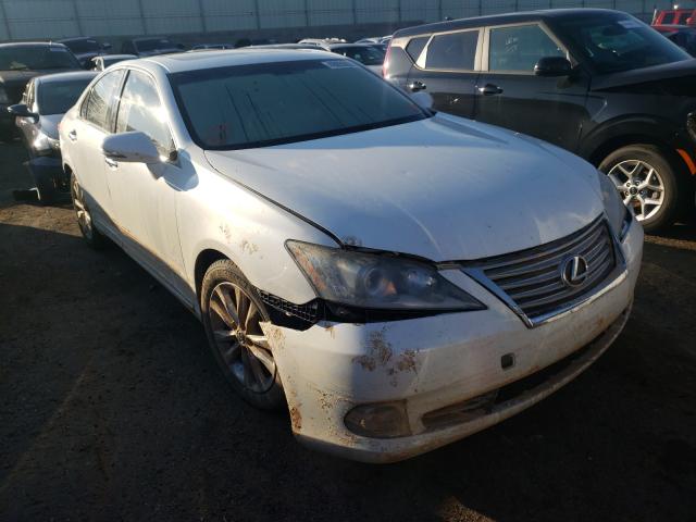 LEXUS ES 350 2010 jthbk1eg4a2362447