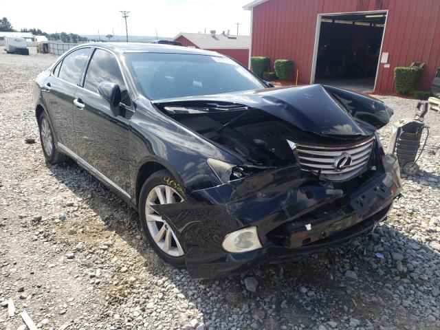 LEXUS ES 350 2010 jthbk1eg4a2362528