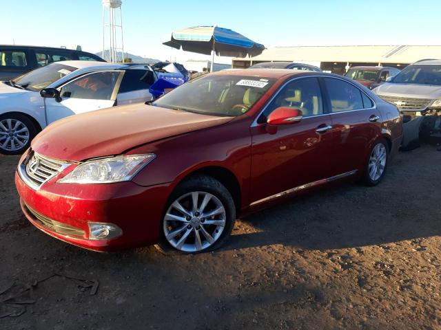 LEXUS ES 350 2010 jthbk1eg4a2362769