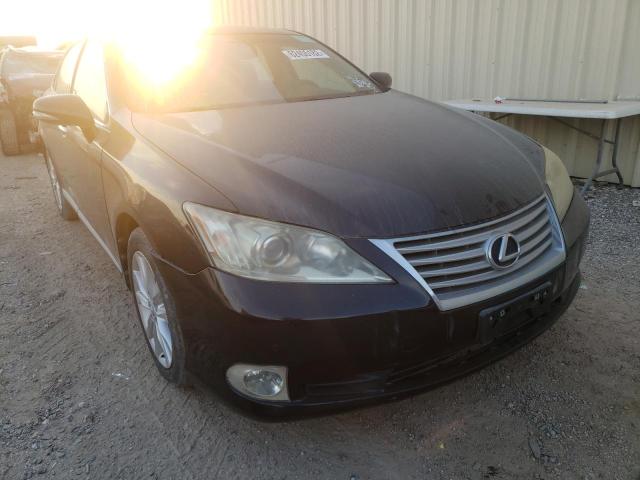 LEXUS ES 350 2010 jthbk1eg4a2363890