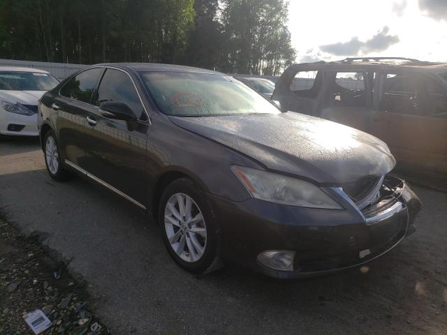 LEXUS ES 350 2010 jthbk1eg4a2368555