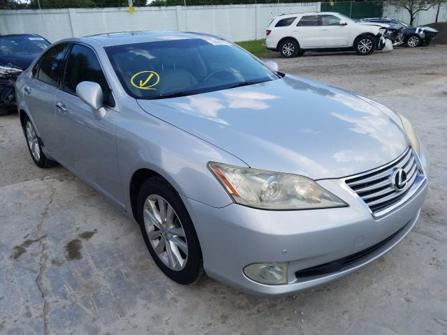 LEXUS ES 350 2010 jthbk1eg4a2368913