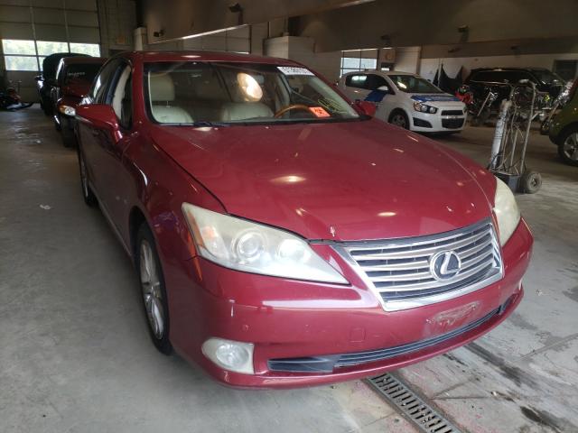 LEXUS ES 350 2010 jthbk1eg4a2369057