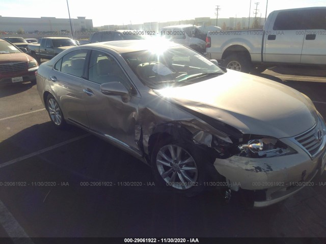 LEXUS ES 350 2010 jthbk1eg4a2369852